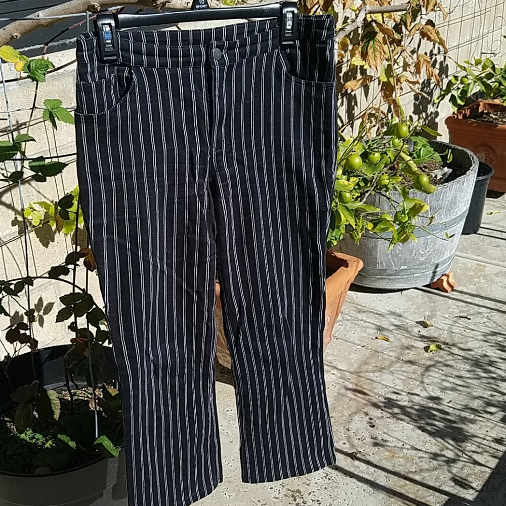 Flare stripped pants